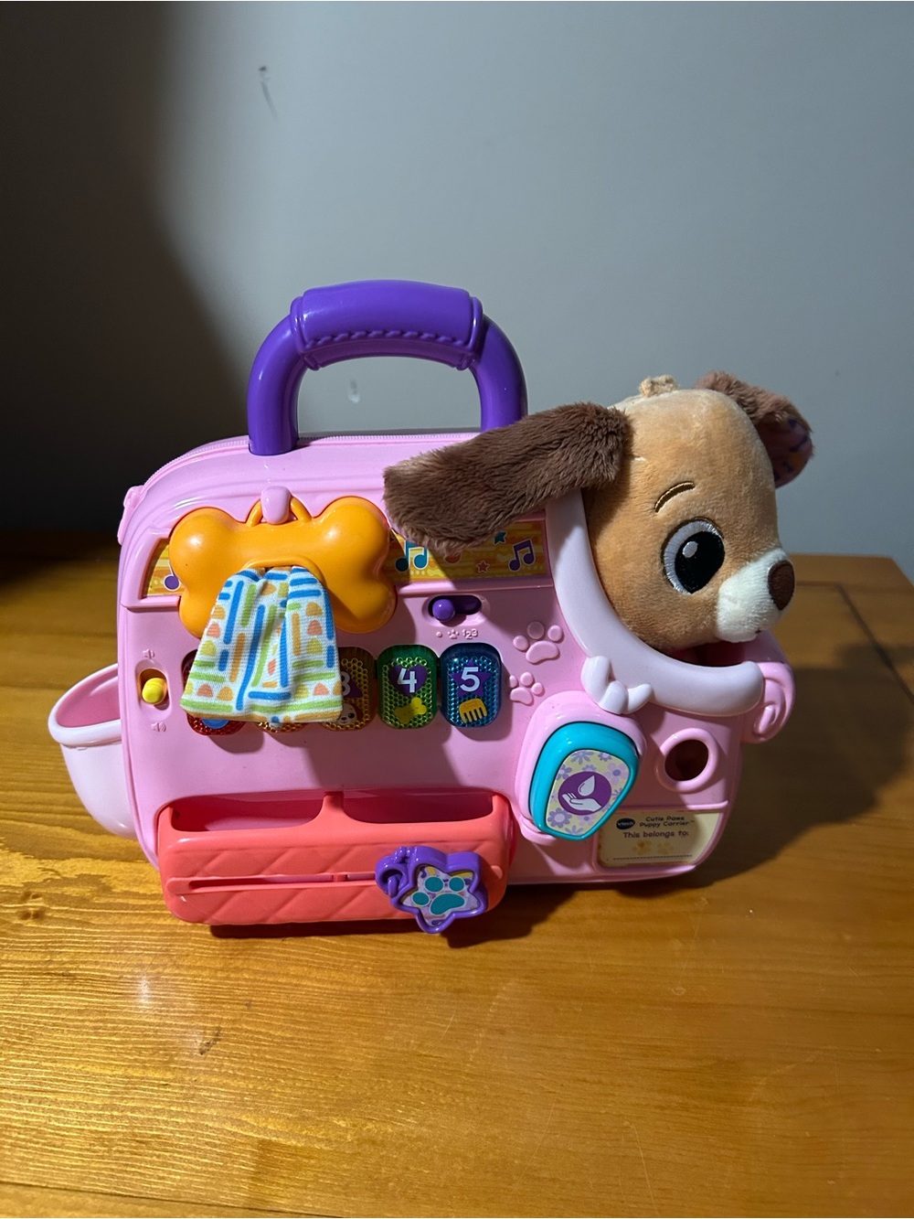 Vtech Interactive Puppy Playset for Kids - Plush Pup Activity Carrier